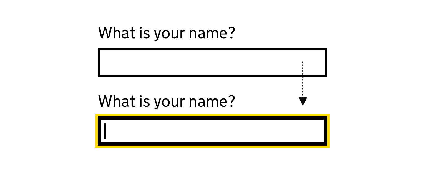 A text input labelled 'What is your name?'. The example shows the text input both unfocused and focused.